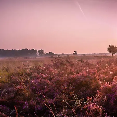 2 2-persoons דירה פורטהאוזן