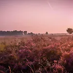 2 2-persoons Апартаменты Вортхёйзен